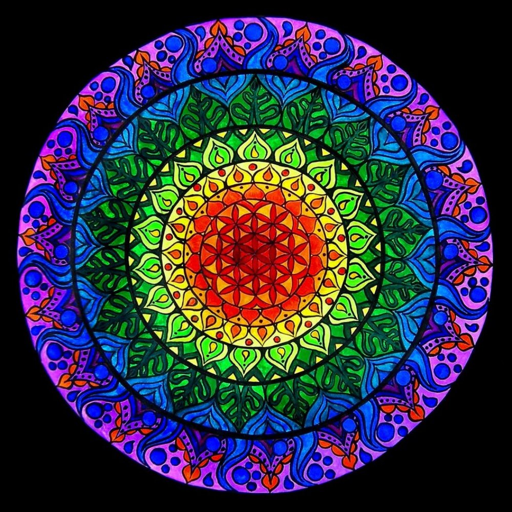 ☆ Welcome to Dreyadreams ☆